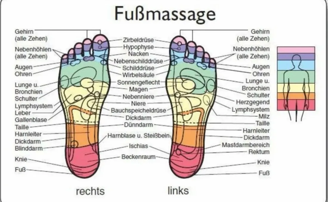 Fussreflexzonen-Karte Karte der Fussreflexzonen mit zugeordneten Organen am rechten und linken Fuss